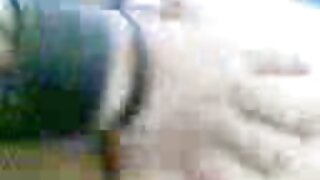 کم سنہرے بالوں والی  ...
