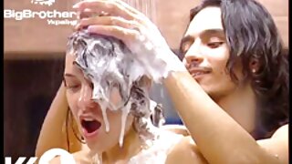 بالوں والی بلی کے سا ...