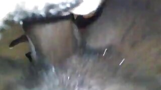 سینگ سنہرے بالوں وال ...