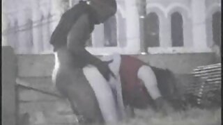 نوجوان سنہری ہارلٹ پ ...